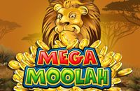 mega moolah slot microgaming